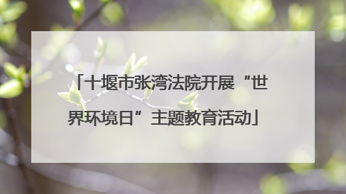 十堰市张湾法院开展“世界环境日”主题教育活动