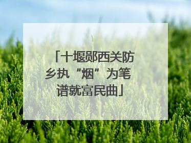十堰郧西关防乡执“烟”为笔 谱就富民曲