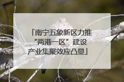 南宁五象新区力推“两港一区”建设 产业集聚效应凸显