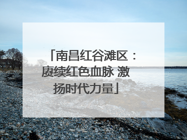 南昌红谷滩区：赓续红色血脉 激扬时代力量