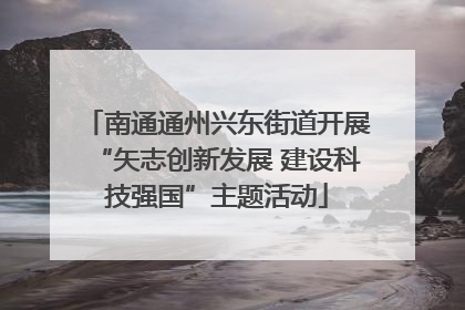 南通通州兴东街道开展“矢志创新发展 建设科技强国”主题活动