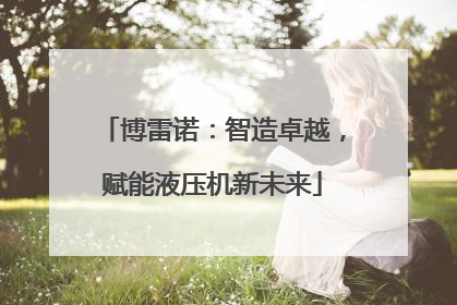 博雷诺：智造卓越，赋能液压机新未来