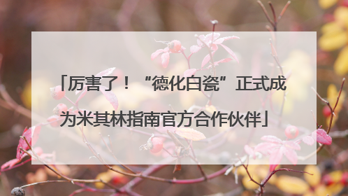 厉害了！“德化白瓷”正式成为米其林指南官方合作伙伴