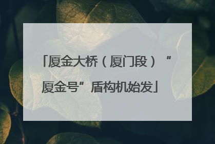 厦金大桥（厦门段）“厦金号”盾构机始发