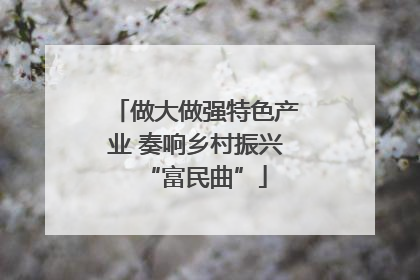 做大做强特色产业 奏响乡村振兴“富民曲”