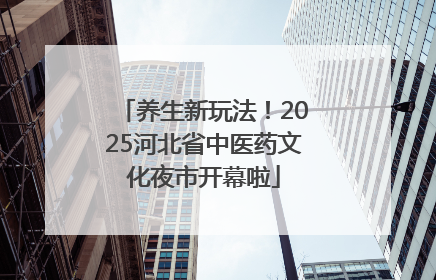 养生新玩法！2025河北省中医药文化夜市开幕啦