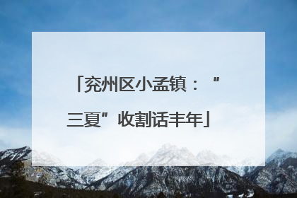 兖州区小孟镇：“三夏”收割话丰年