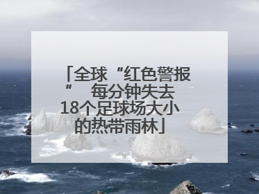 全球“红色警报”  每分钟失去18个足球场大小的热带雨林