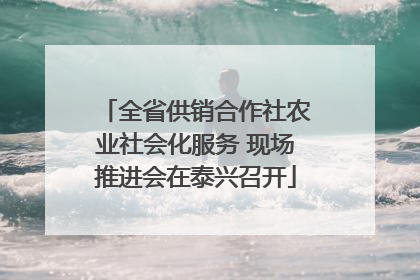 全省供销合作社农业社会化服务 现场推进会在泰兴召开