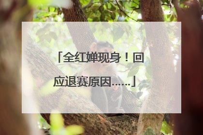 全红婵现身！回应退赛原因……