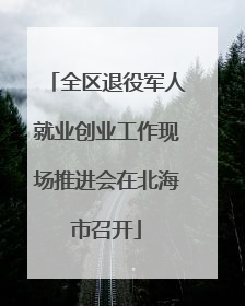 全区退役军人就业创业工作现场推进会在北海市召开
