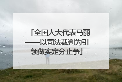 全国人大代表马丽——以司法裁判为引领做实定分止争