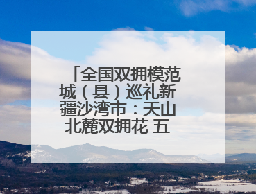 全国双拥模范城（县）巡礼新疆沙湾市：天山北麓双拥花 五届蝉联铸辉煌