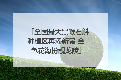 全国最大黑喉石斛种植区再添新景 金色花海扮靓龙陵