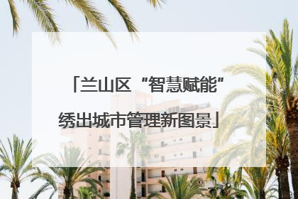 兰山区“智慧赋能”绣出城市管理新图景