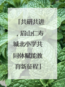 共研共进，眉山仁寿城北小学共同体赋能教育新征程