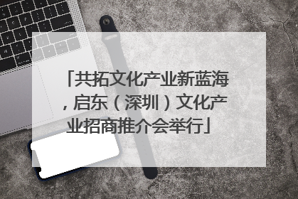共拓文化产业新蓝海，启东（深圳）文化产业招商推介会举行
