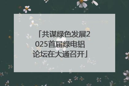 共谋绿色发展2025首届绿电铝论坛在大通召开