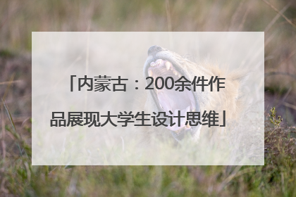 内蒙古：200余件作品展现大学生设计思维