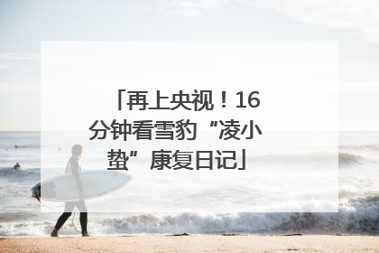 再上央视！16分钟看雪豹“凌小蛰”康复日记