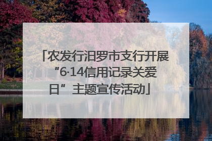 农发行汨罗市支行开展“6·14信用记录关爱日”主题宣传活动