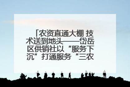 农资直通大棚 技术送到地头——岱岳区供销社以“服务下沉”打通服务“三农”最后一公里