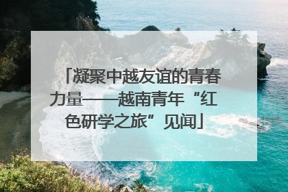 凝聚中越友谊的青春力量——越南青年“红色研学之旅”见闻