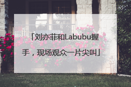 刘亦菲和Labubu握手，现场观众一片尖叫