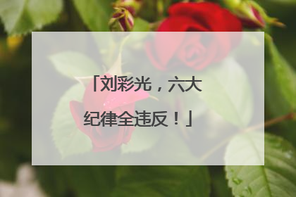 刘彩光，六大纪律全违反！