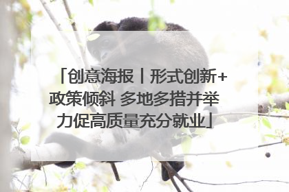 创意海报丨形式创新+政策倾斜 多地多措并举力促高质量充分就业