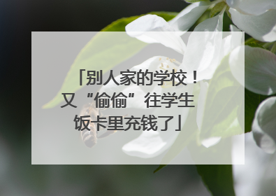 别人家的学校！又“偷偷”往学生饭卡里充钱了