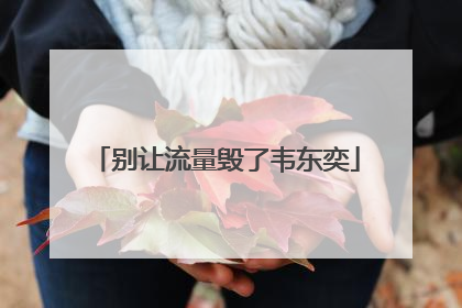 别让流量毁了韦东奕