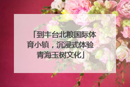 到丰台北粮国际体育小镇，沉浸式体验青海玉树文化