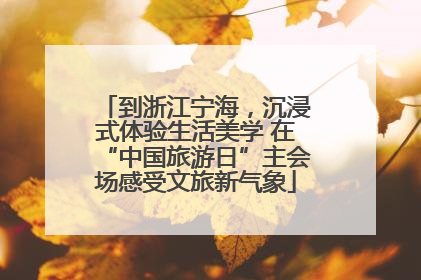 到浙江宁海，沉浸式体验生活美学 在“中国旅游日”主会场感受文旅新气象