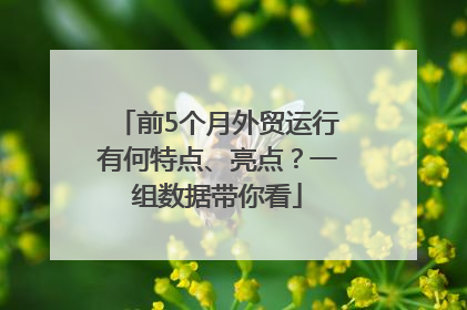 前5个月外贸运行有何特点、亮点？一组数据带你看