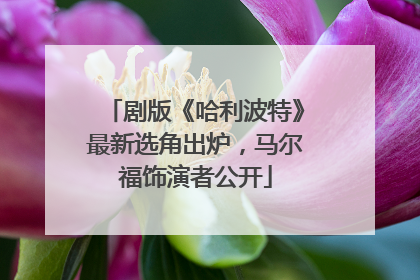 剧版《哈利波特》最新选角出炉，马尔福饰演者公开