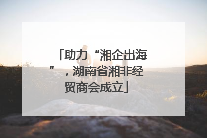 助力“湘企出海”，湖南省湘非经贸商会成立