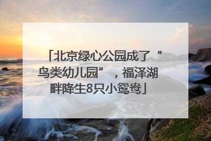 北京绿心公园成了“鸟类幼儿园”，福泽湖畔降生8只小鸳鸯