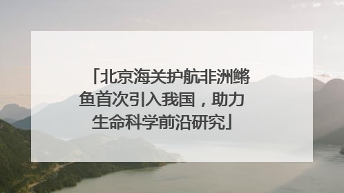 北京海关护航非洲鳉鱼首次引入我国，助力生命科学前沿研究