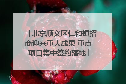 北京顺义区仁和镇招商迎来重大成果 重点项目集中签约落地