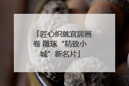 匠心织就宜居画卷 雕琢“精致小城”新名片