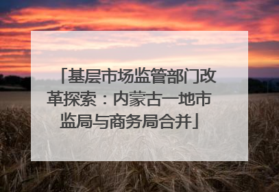 基层市场监管部门改革探索：内蒙古一地市监局与商务局合并