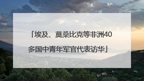 埃及、莫桑比克等非洲40多国中青年军官代表访华