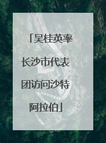 吴桂英率长沙市代表团访问沙特阿拉伯