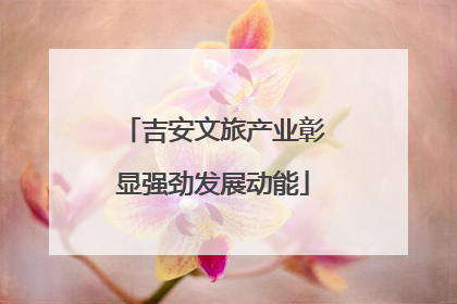 吉安文旅产业彰显强劲发展动能