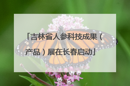 吉林省人参科技成果（产品）展在长春启动