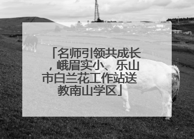 名师引领共成长，峨眉实小、乐山市白兰花工作站送教南山学区