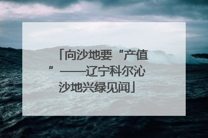 向沙地要“产值”——辽宁科尔沁沙地兴绿见闻