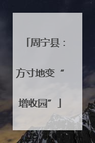 周宁县：方寸地变“增收园”