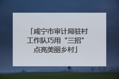 咸宁市审计局驻村工作队巧用“三招”点亮美丽乡村